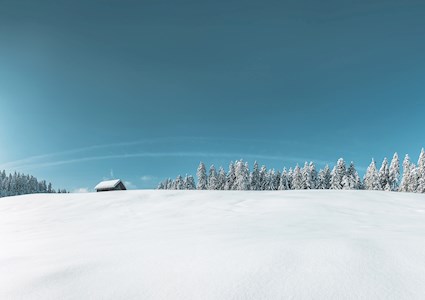 A small, snow-covered building sits amidst snow-covered trees. 