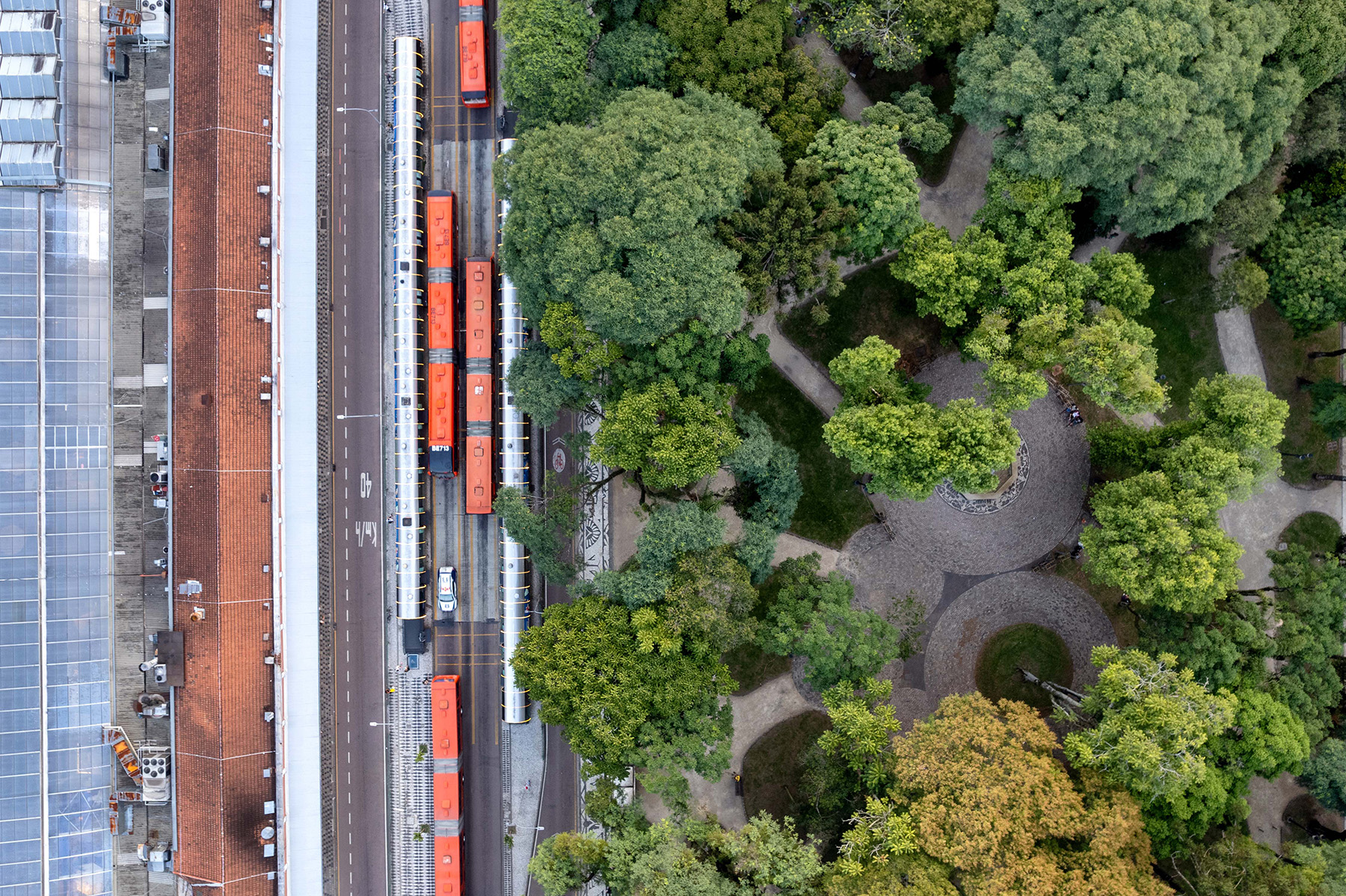 An overhead view shows a line of orange-topped buses next to verdant parkland. 