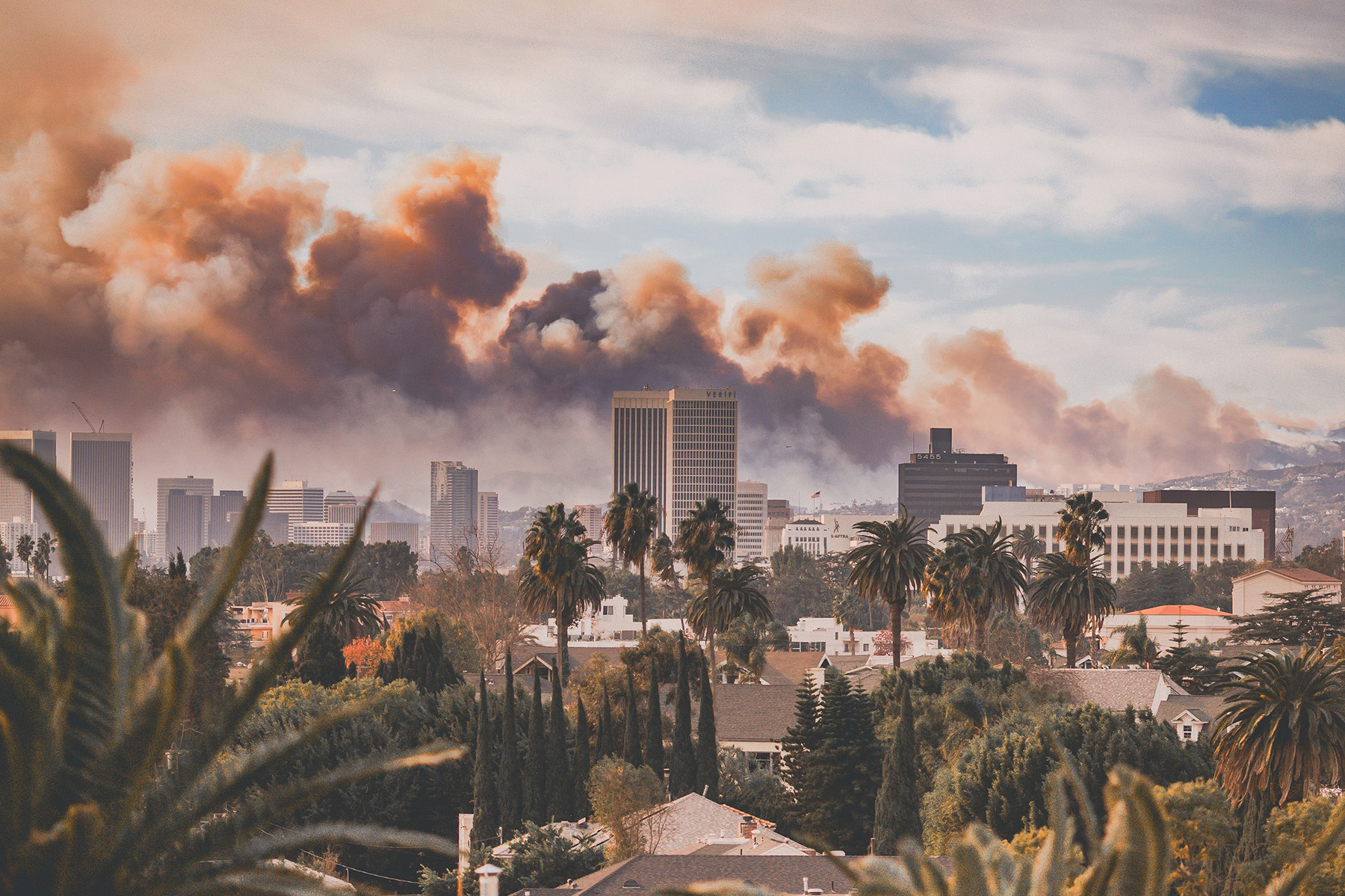 Smoke from wildfires rises above the palm trees and skyline of Los Angeles. 