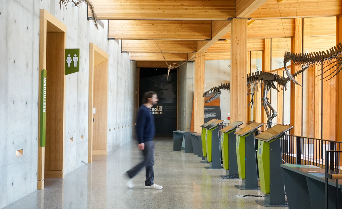 a person walks among fossils in a timber-heavy building