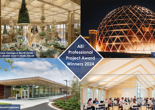 AEI PPA 2024 Winners